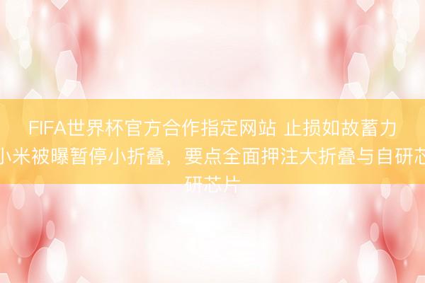 FIFA世界杯官方合作指定网站 止损如故蓄力？小米被曝暂停小折叠，要点全面押注大折叠与自研芯片