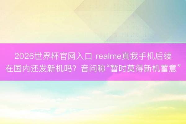 2026世界杯官网入口 realme真我手机后续在国内还发新机吗?音问称“暂时莫得新机蓄意”