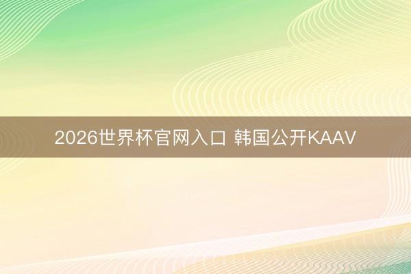 2026世界杯官网入口 韩国公开KAAV