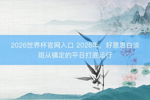 2026世界杯官网入口 2026年，好意思白淡斑从镇定的平日打底运行