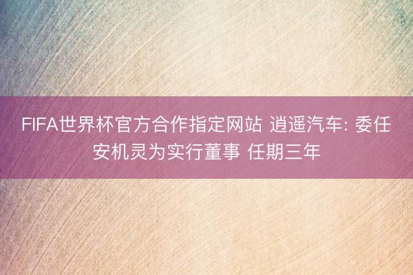FIFA世界杯官方合作指定网站 逍遥汽车: 委任安机灵为实行董事 任期三年