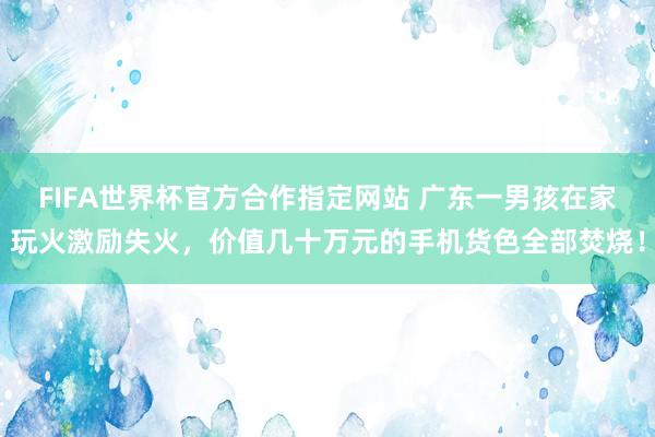 FIFA世界杯官方合作指定网站 广东一男孩在家玩火激励失火,价值几十万元的手机货色全部焚烧!